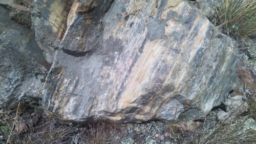 Гигантские зелёные валуны для ландшафтного дизайна весом более 5 тонн купить в Иркутске