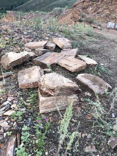 Плитняк кора дерева 50-100мм для пошаговых дорожек купить в Иркутске